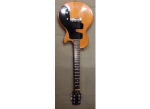 Gibson Challenger (28714)