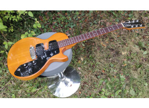 Gibson Challenger (13773)