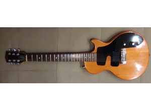 Gibson Challenger (78213)