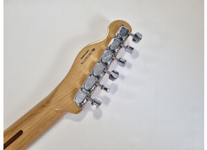 Fender Vintera '70s Telecaster Thinline (37374)