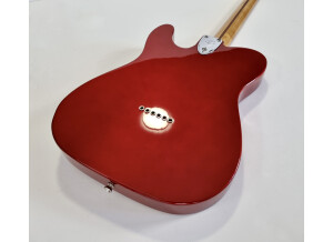 Fender Vintera '70s Telecaster Thinline (51556)