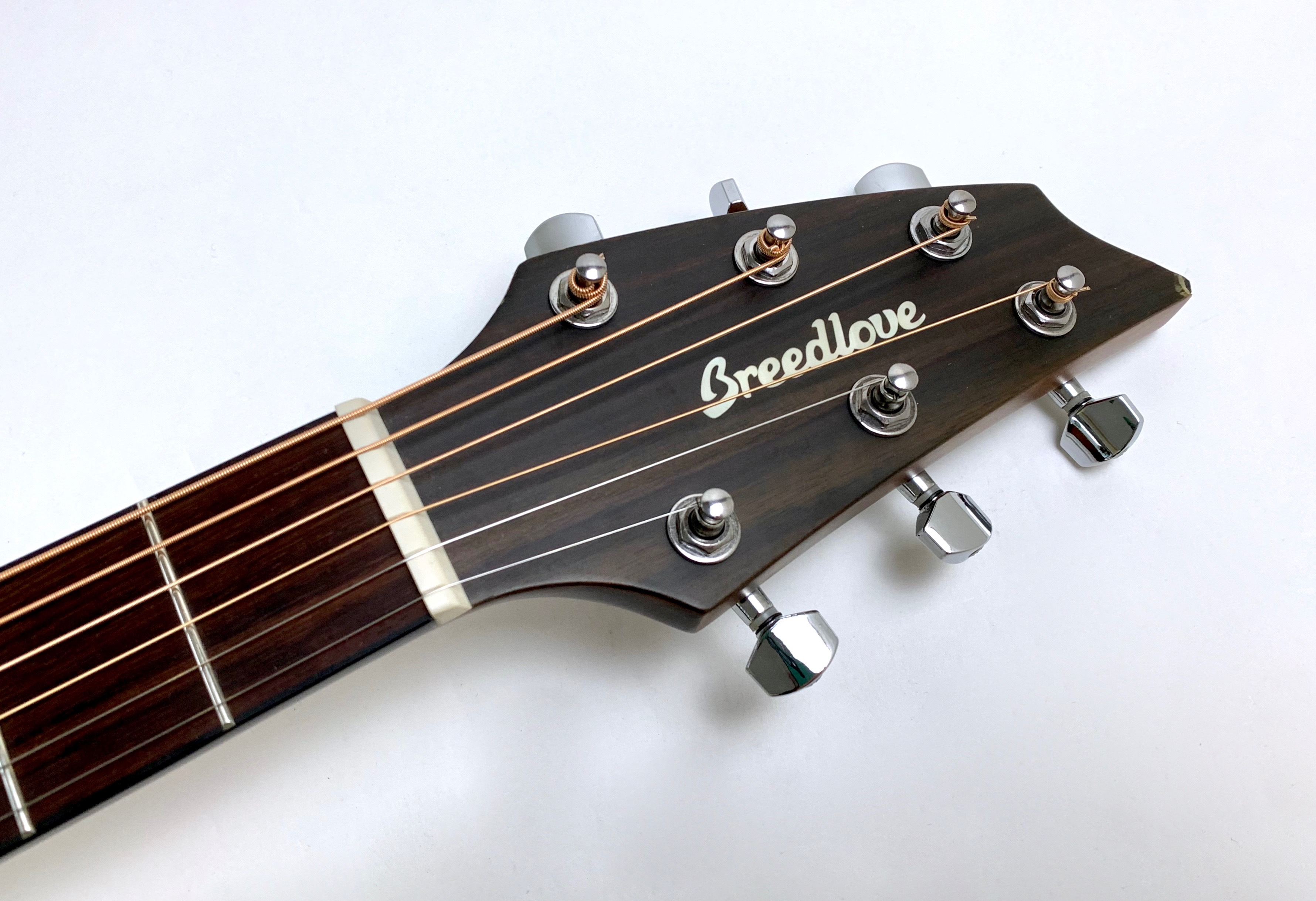 Breedlove Discovery Concert (1379)