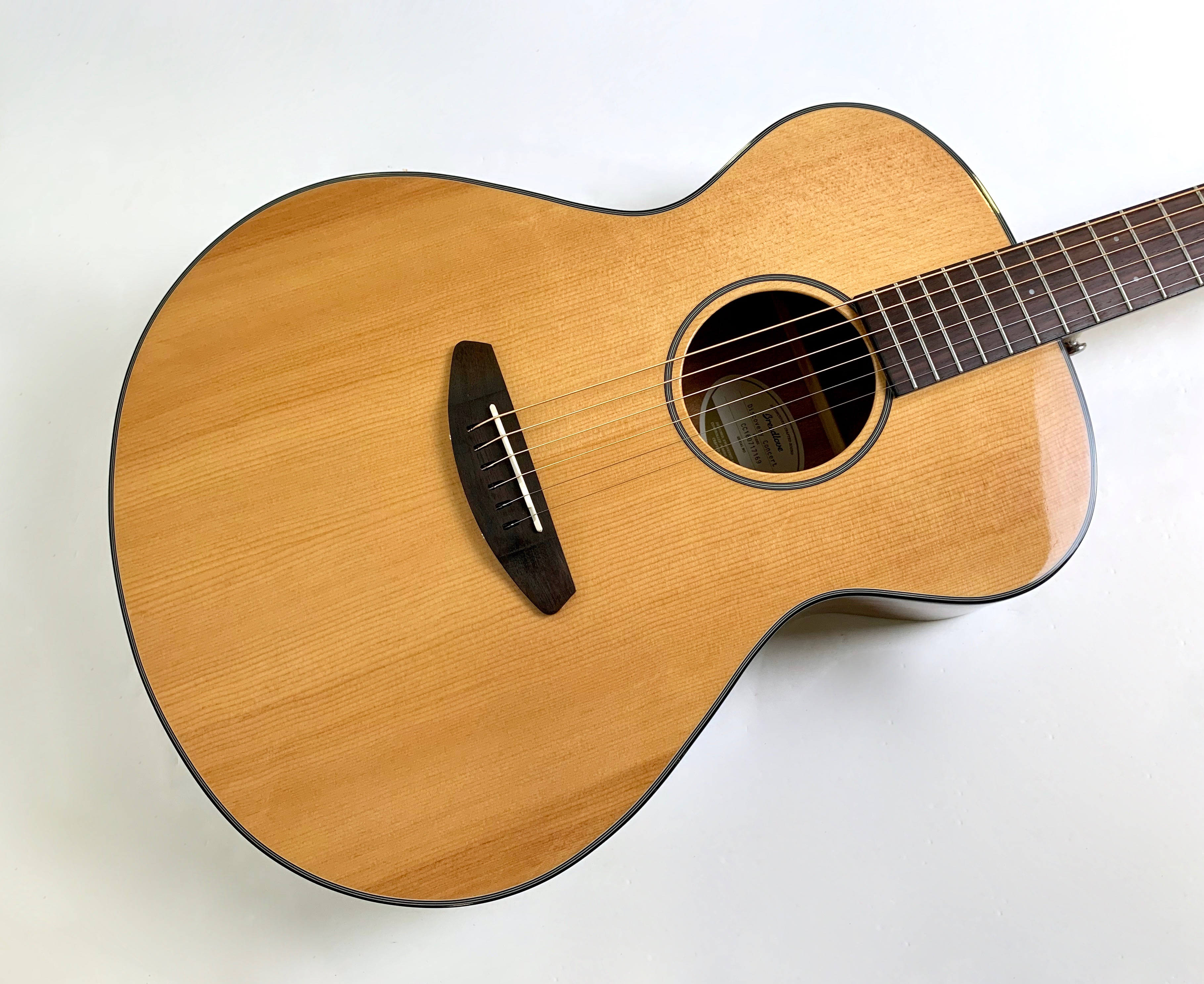 Breedlove Discovery Concert (90443)