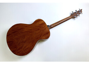 Breedlove Discovery Concert (33912)