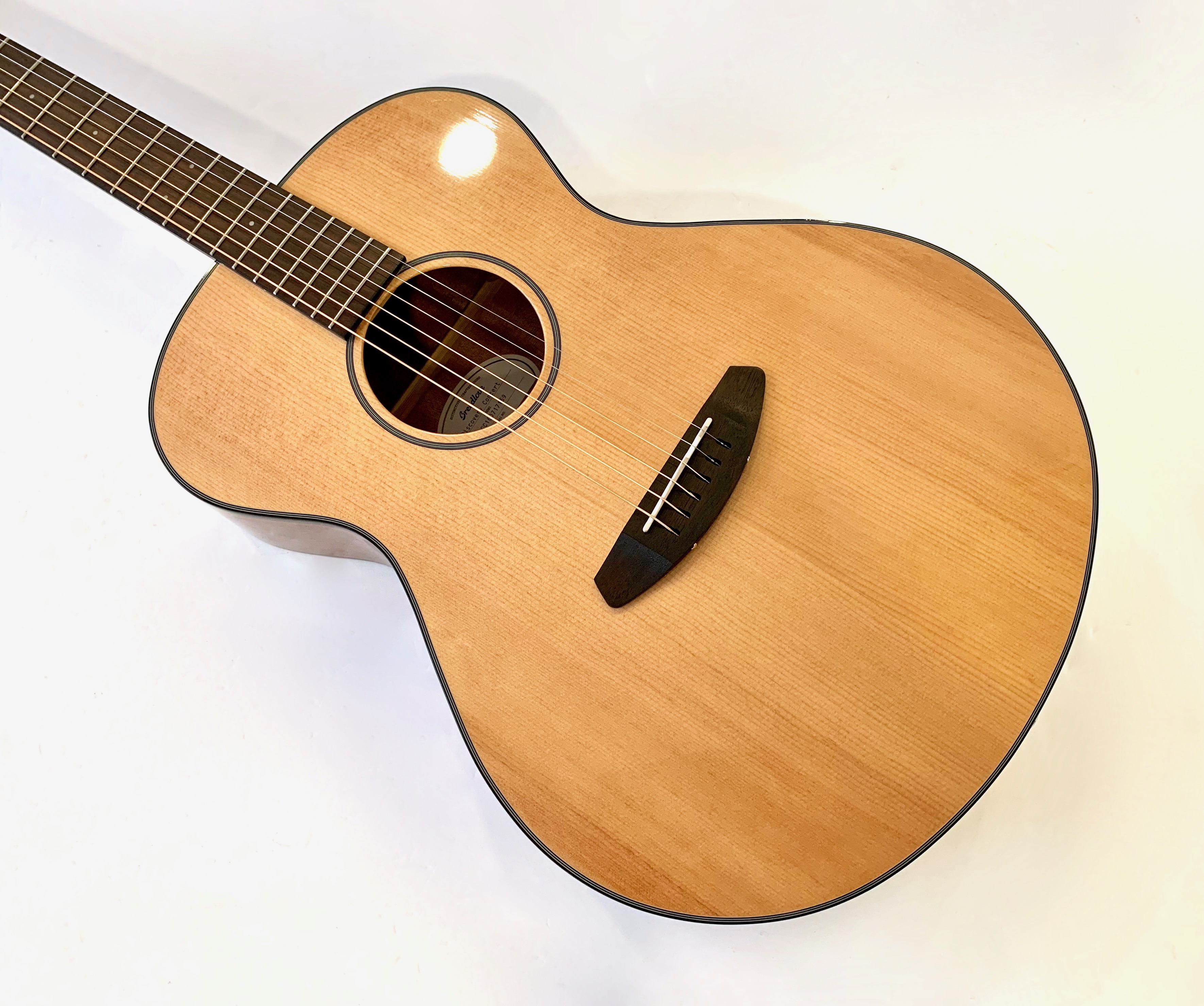 Breedlove Discovery Concert (52644)