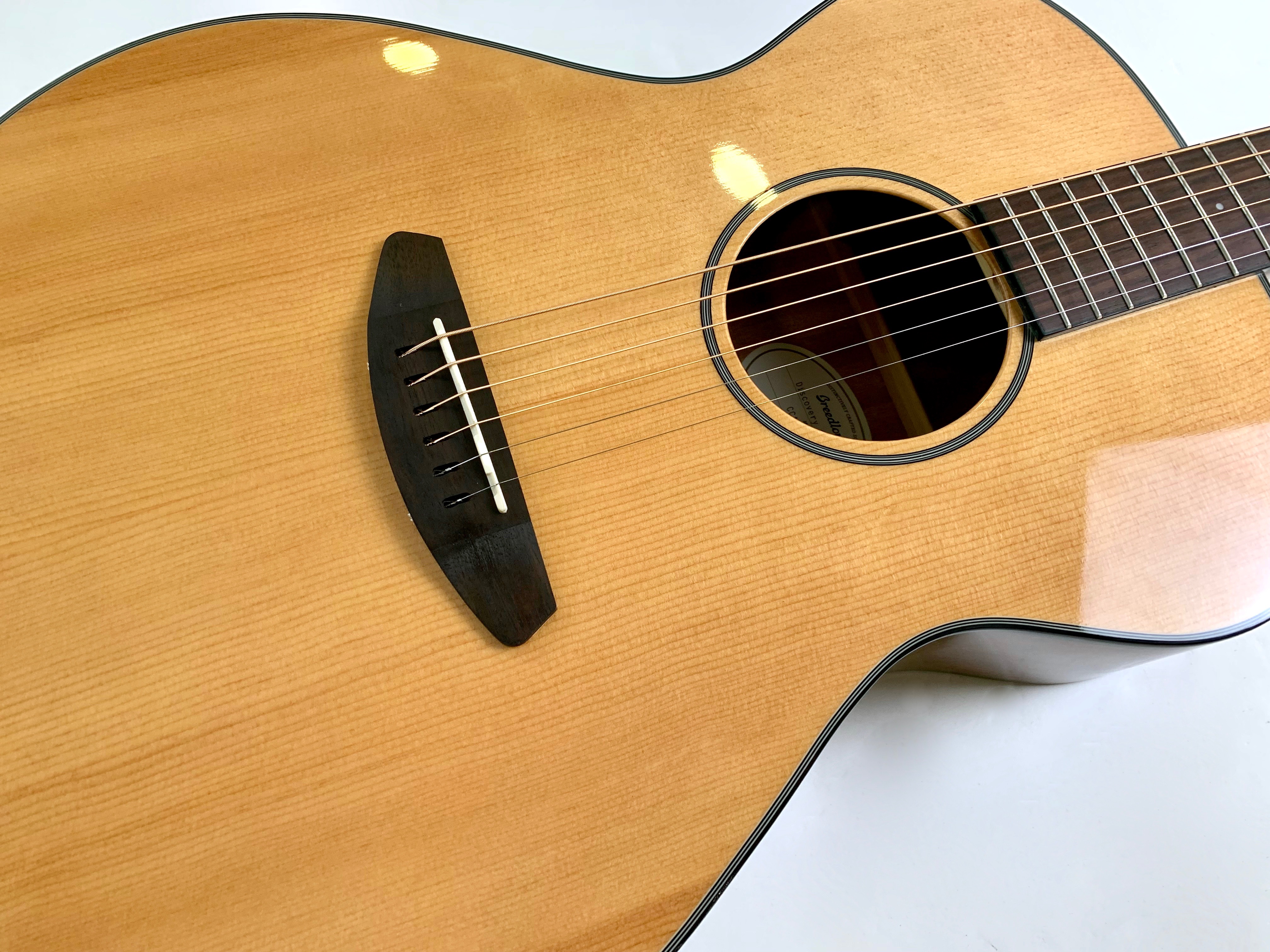 Breedlove Discovery Concert (12732)