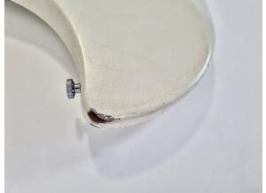 Ovation Breadwinner (87457)