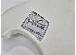 Ovation Breadwinner (79101)