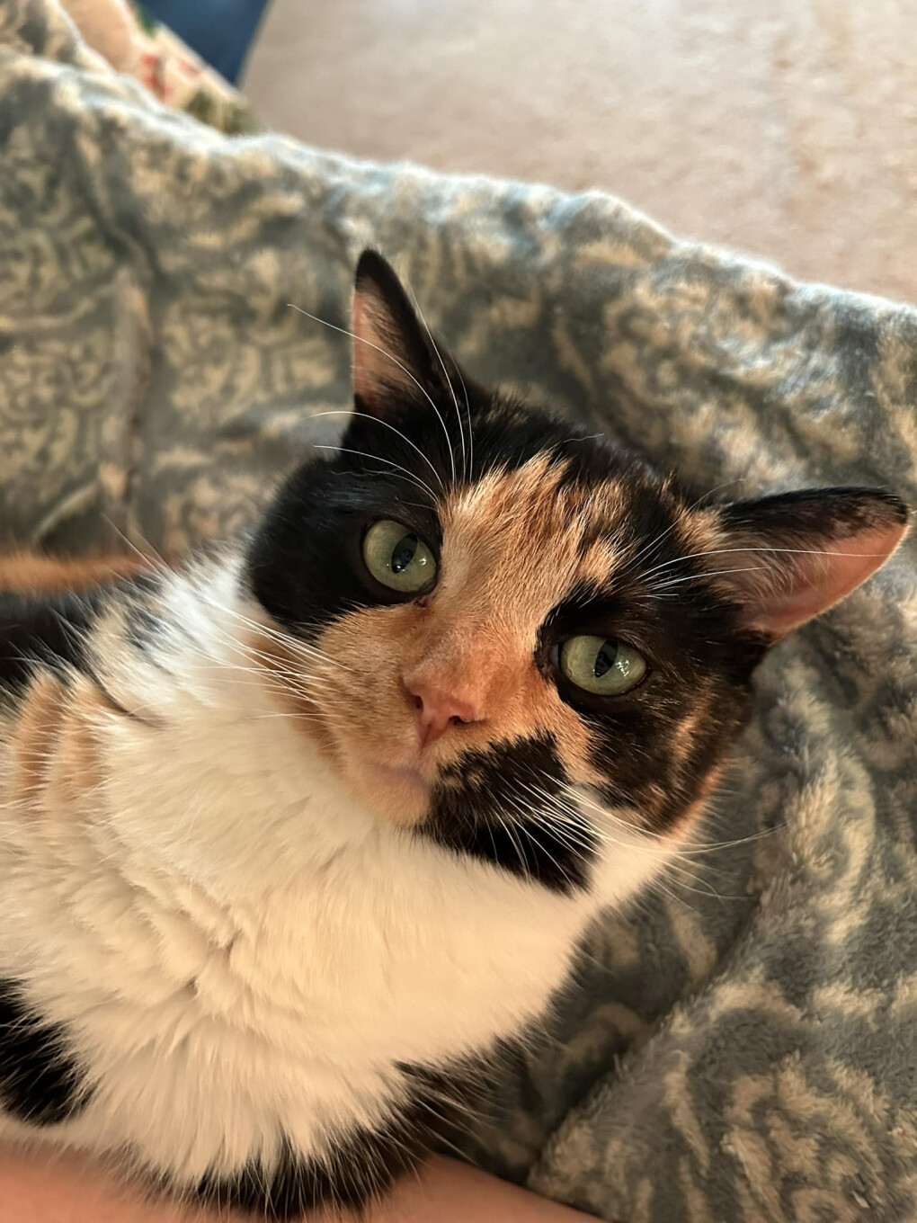 6296130.jpg 6296130.jpg