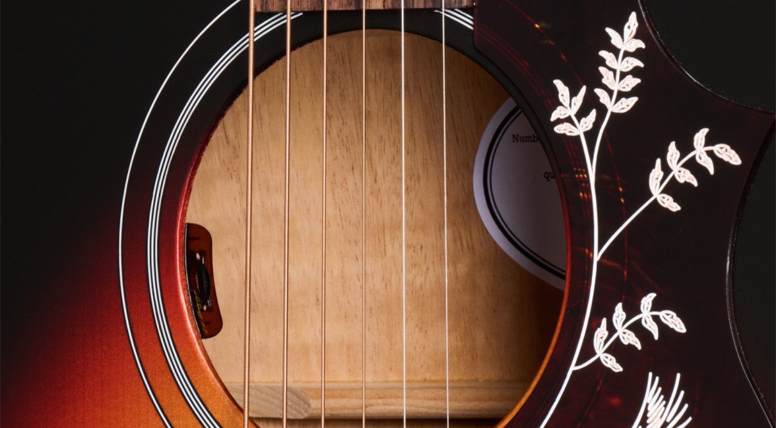 Gibson Hummingbird Studio EC : Hummingbird ECDetail