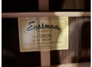 Eastman E20OM (73172)