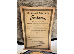 Eastman E20OM (29399)