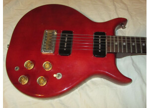 Washburn Raven (30024)