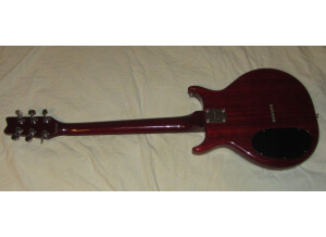 Washburn Raven (43998)