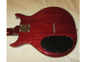 Washburn Raven (56166)