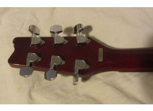 Washburn Raven (68161)