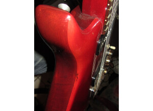 Washburn Raven (95870)