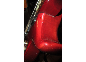 Washburn Raven (85909)