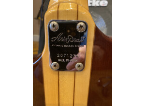 Aria Pro II ThorSound TS-300 (13452)