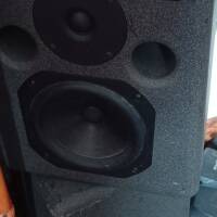 Enceinte de monitoring K.Rok