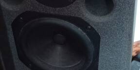 Enceinte de monitoring K.Rok