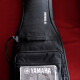 Revstar RS702B Revstar RS702B