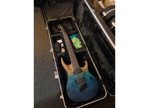 G4M 529 Pro Fanned Fret 7-String (10347)