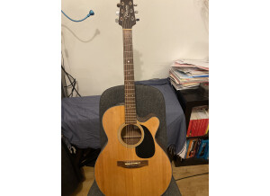 Takamine EG220SC (73499)