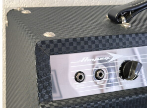 Ampeg J-20  (44819)