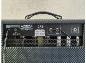 Ampeg J-20  (51960)