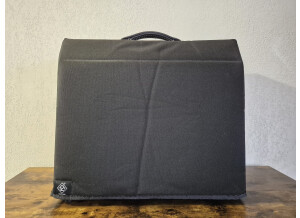 Ampeg J-20  (73335)