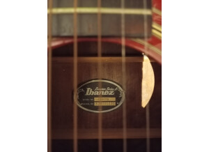 Ibanez LS300 (11959)
