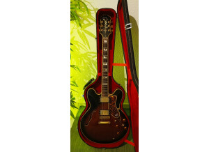 Epiphone Sheraton (16094)