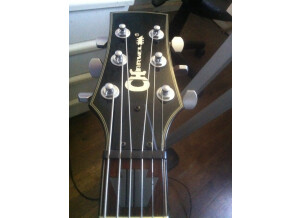 Charvel Desolation DS-1 ST (77216)