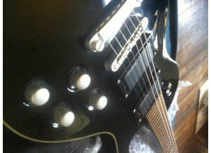 Charvel Desolation DS-1 ST (46590)