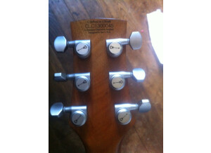 Charvel Desolation DS-1 ST (36594)