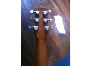 Charvel Desolation DS-1 ST (98887)