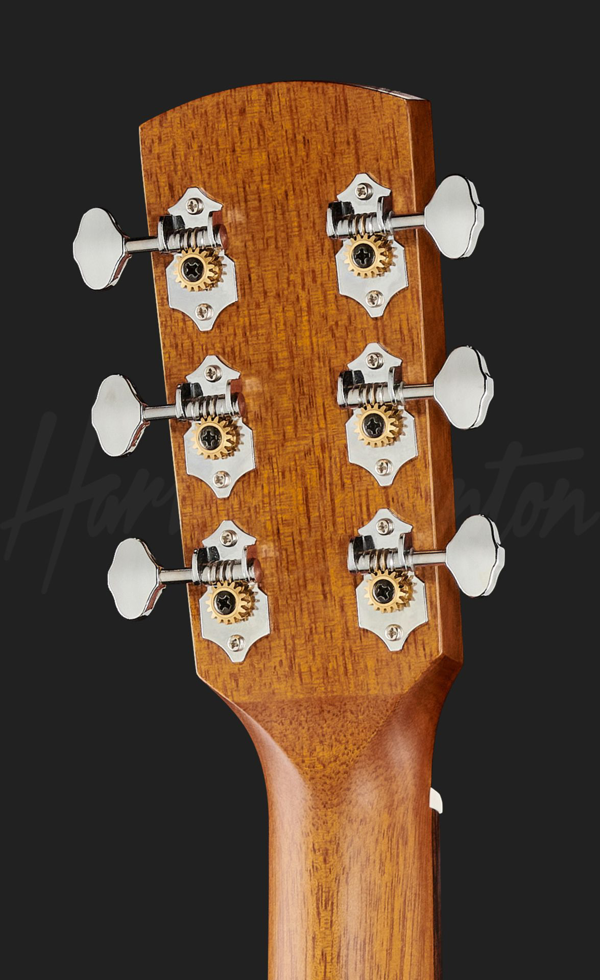 Harley Benton CLG-70SR CE : CLG-70SR CEHeadBack