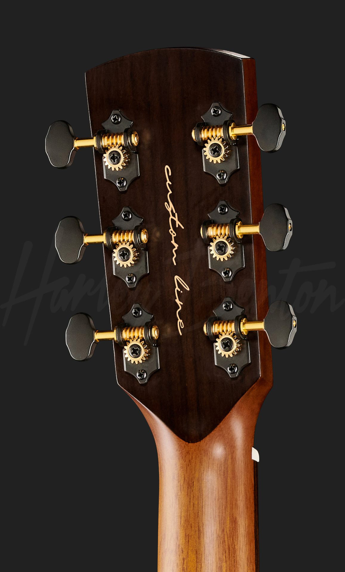 Harley Benton CLG-70ASR CE : CLG-70ASR CEBackHead