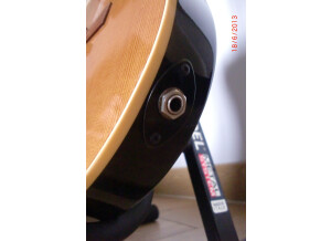 Godin Acousticlassic (98399)