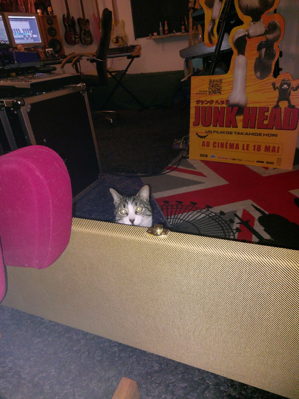 6307631.jpg 6307631.jpg