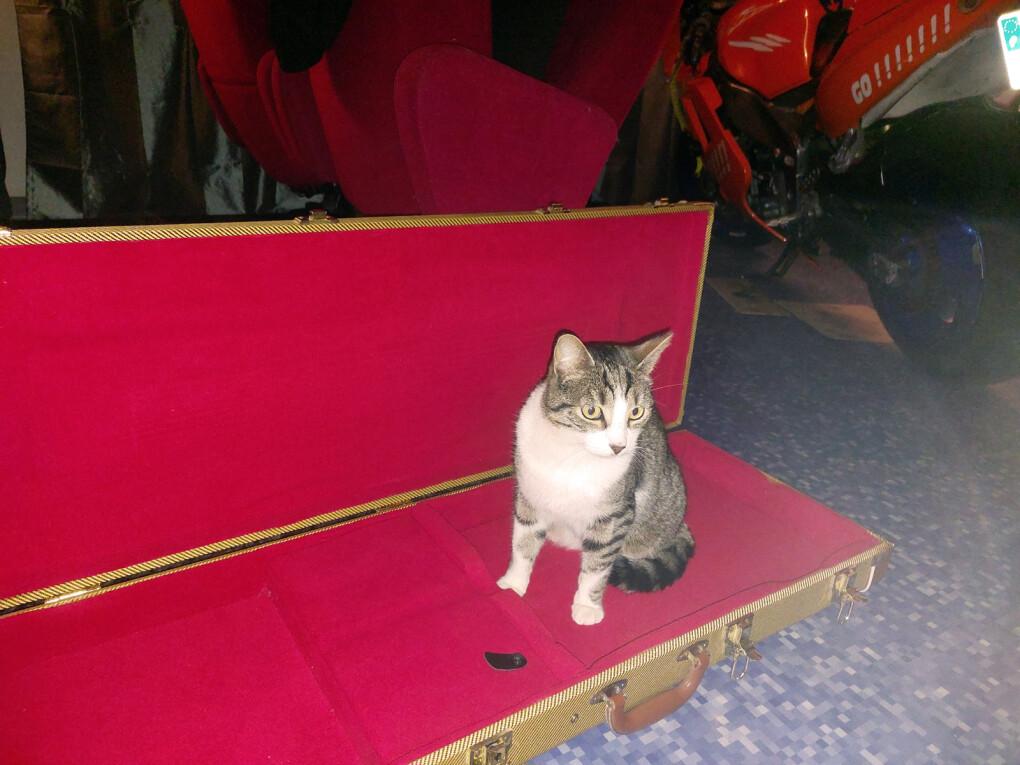 6307632.jpg 6307632.jpg