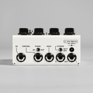 Redwing Back Redwing Back