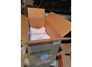 Mesa Boogie Fillmore 50 Head (20888)