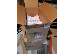 Mesa Boogie Fillmore 50 Head (26998)