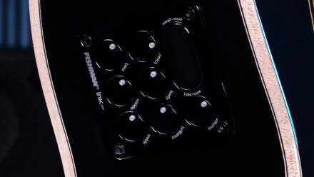 FaithEclipseFishmanPreamp FaithEclipseFishmanPreamp