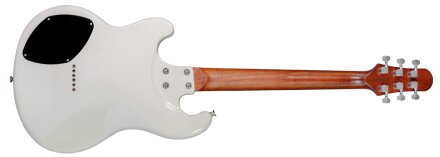 Shergold BACK Shergold BACK