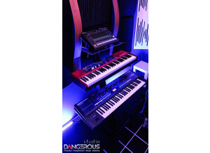 Synth Num