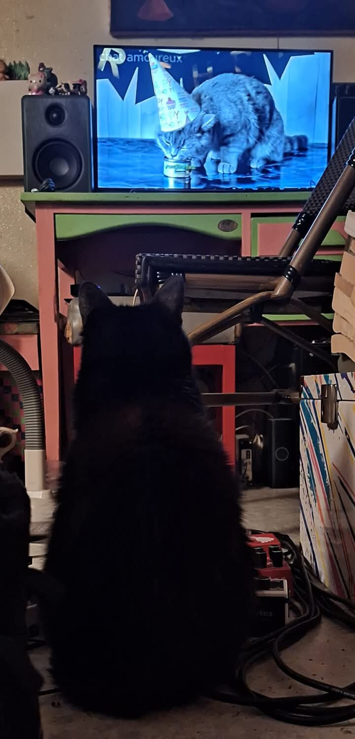 6309479.jpg 6309479.jpg