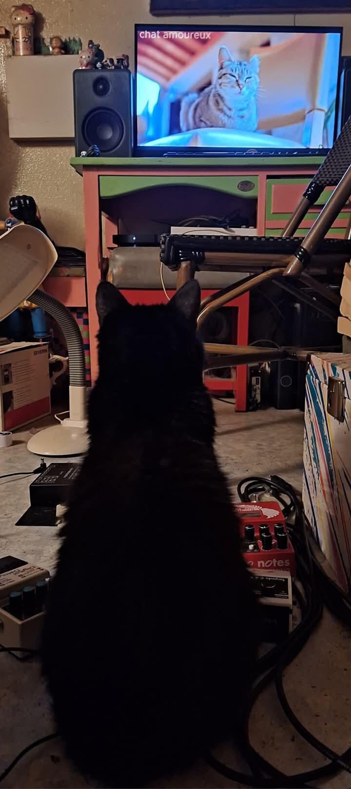 6309480.jpg 6309480.jpg